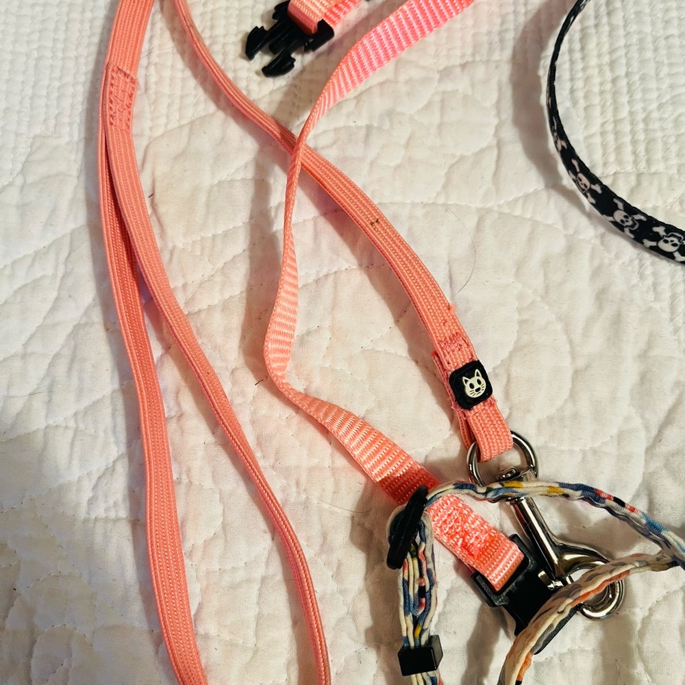Cat Harness Leashes and Collar Set in Pink and Black - Picture 5 of 5